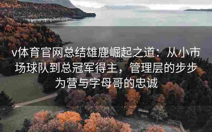 v体育官网总结雄鹿崛起之道:从小市场球队到总冠军得主,管理层的步步为营与字母哥的忠诚